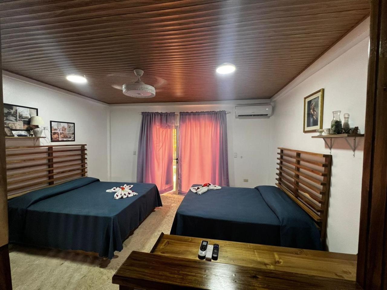 Piergiorgio Palace Hotel プエルト・プラタ 部屋 写真